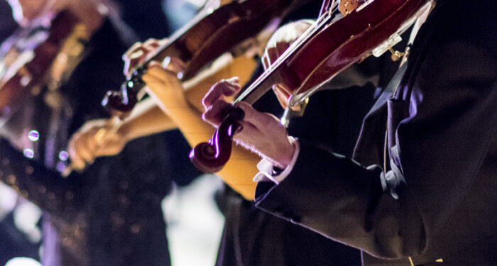 Närbild på tre violiner som spelas av oidentifierade violinister